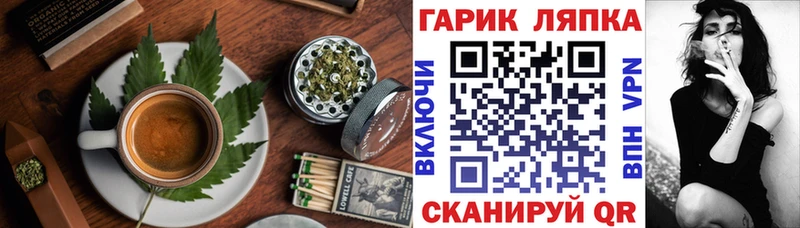 Canna-Cookies марихуана  Сольвычегодск 